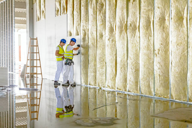 Best Commercial Insulation in Ashley, PA